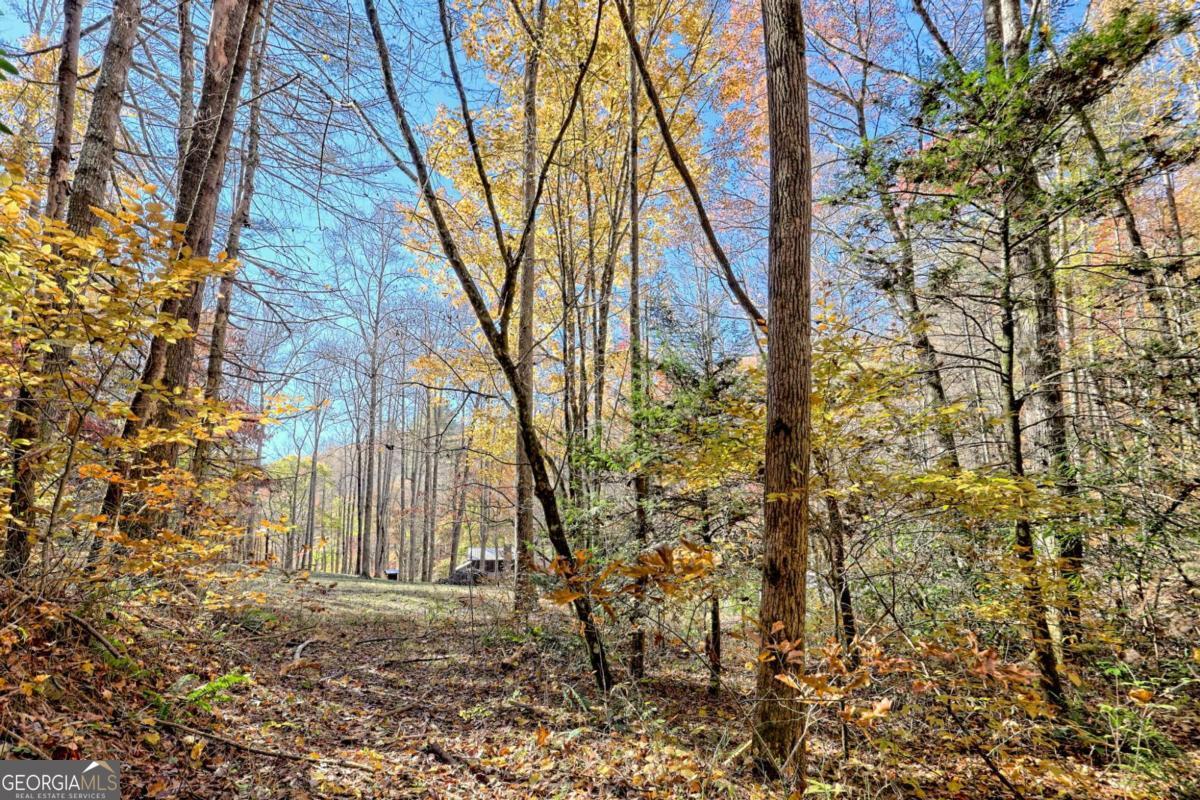1307 Clear Creek Road Property Photo 60