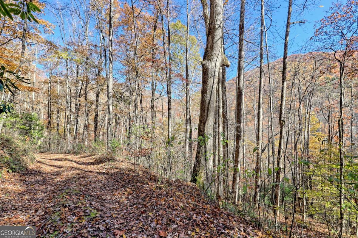 1307 Clear Creek Road Property Photo 62
