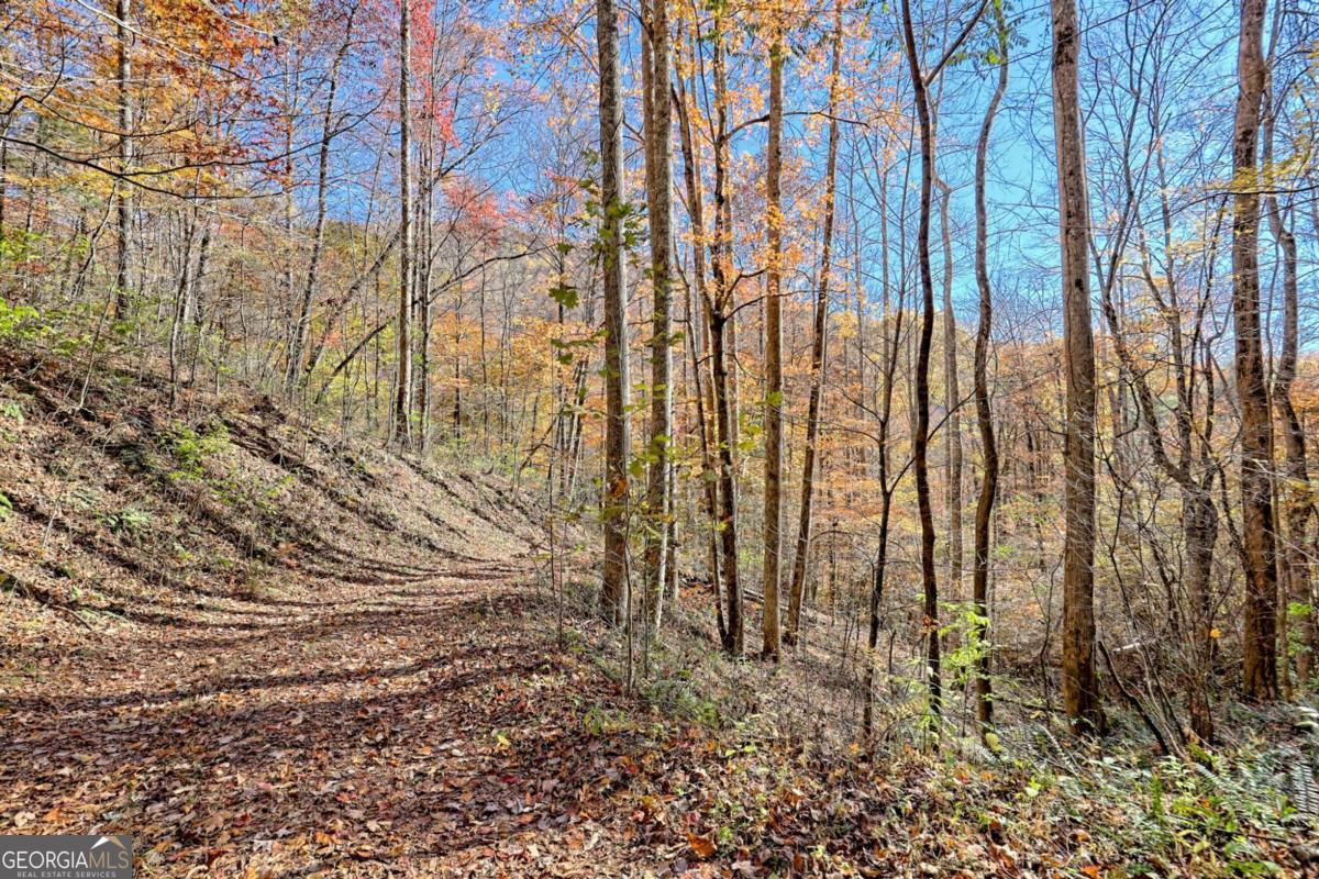 1307 Clear Creek Road Property Photo 63