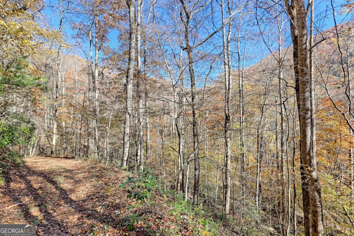 1307 Clear Creek Road Property Photo 64