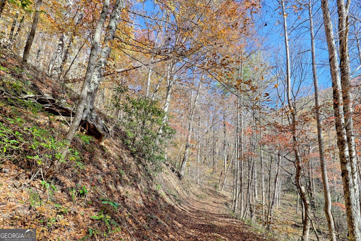 1307 Clear Creek Road Property Photo 65