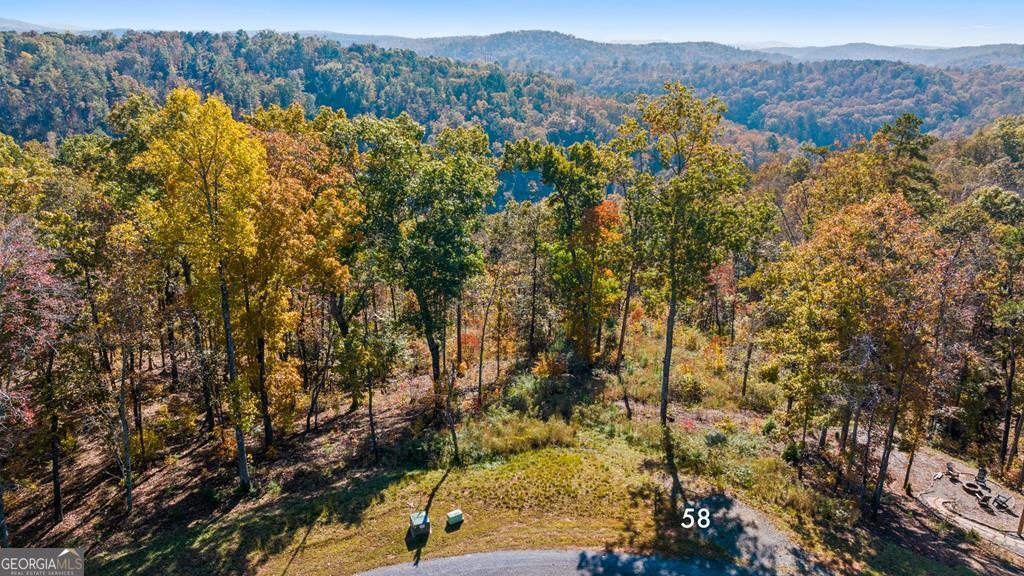 Lot 58 Ridge Line Trail Property Photo 1
