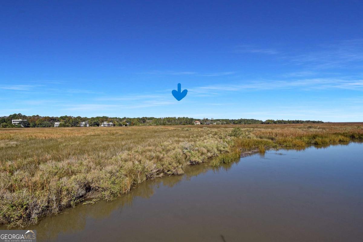 203 Palm Trace Property Photo 1