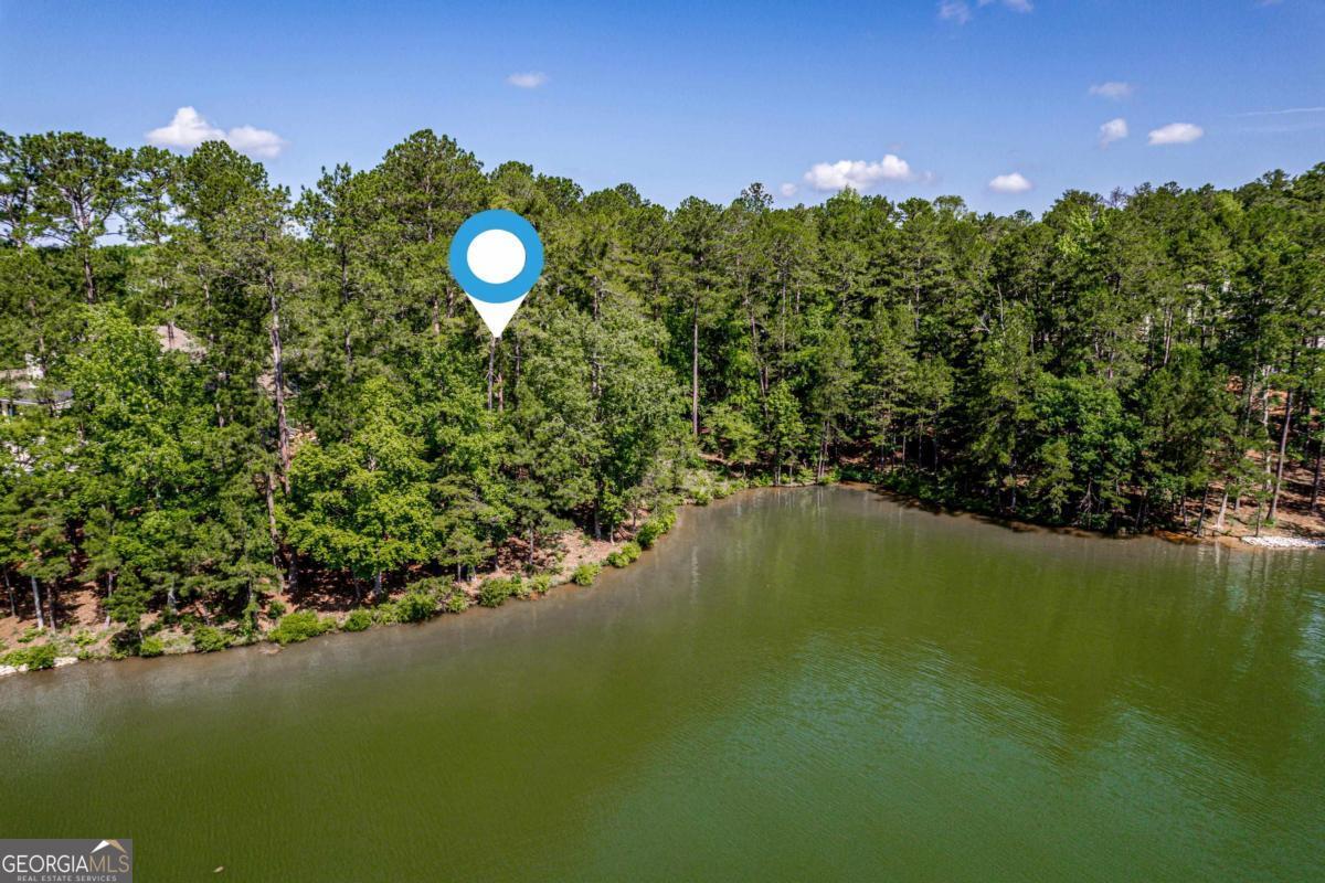 1103 Painted Bunting Drive Property Photo 3