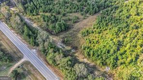 641 Us Highway 80 E Property Photo 6