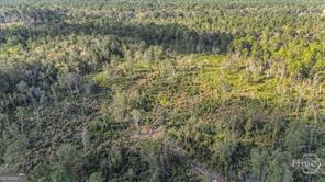 641 Us Highway 80 E Property Photo 10