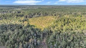 641 Us Highway 80 E Property Photo 11