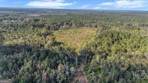641 Us Highway 80 E Property Photo 12