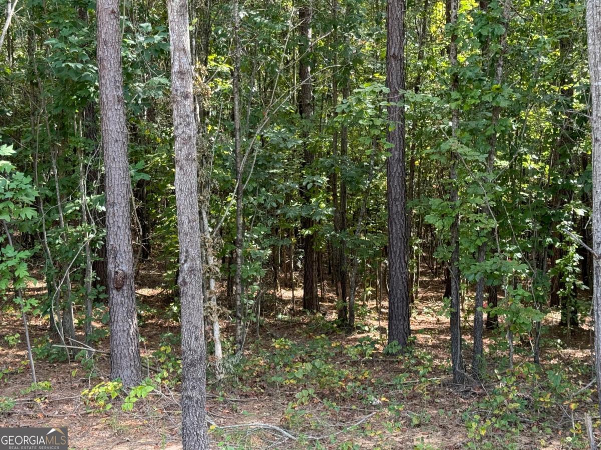 0 Lone Bear Path Property Photo 1