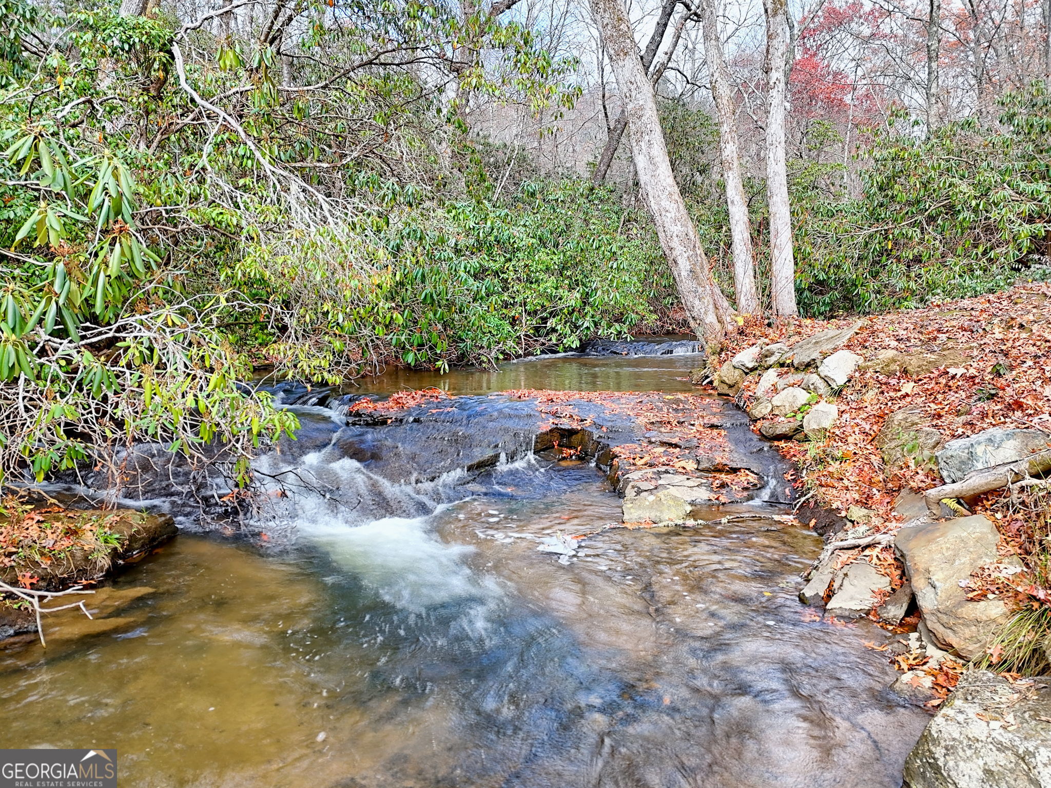 7829 Dillard Road Property Photo 1