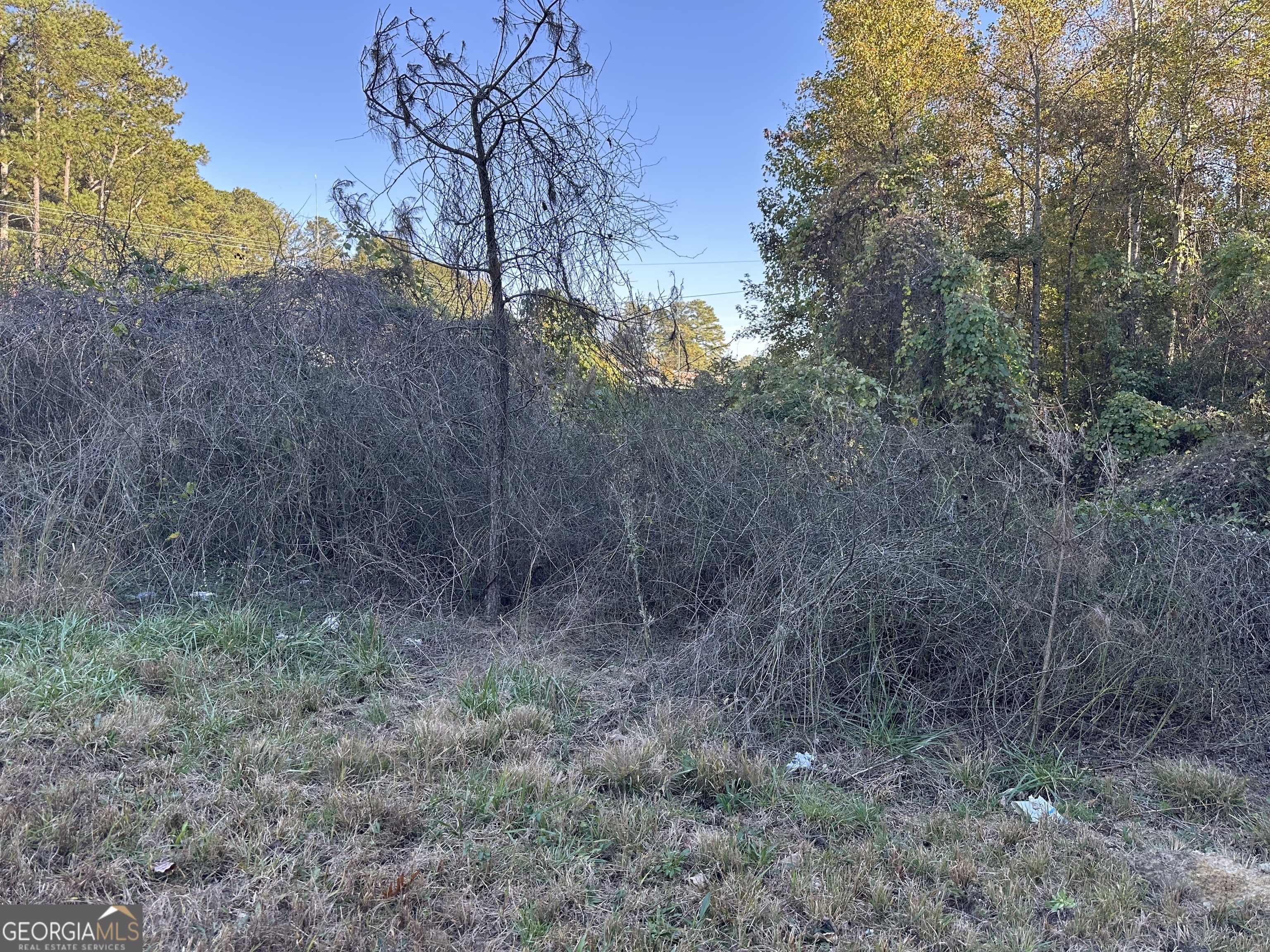 0 Hwy 27 N Property Photo 13