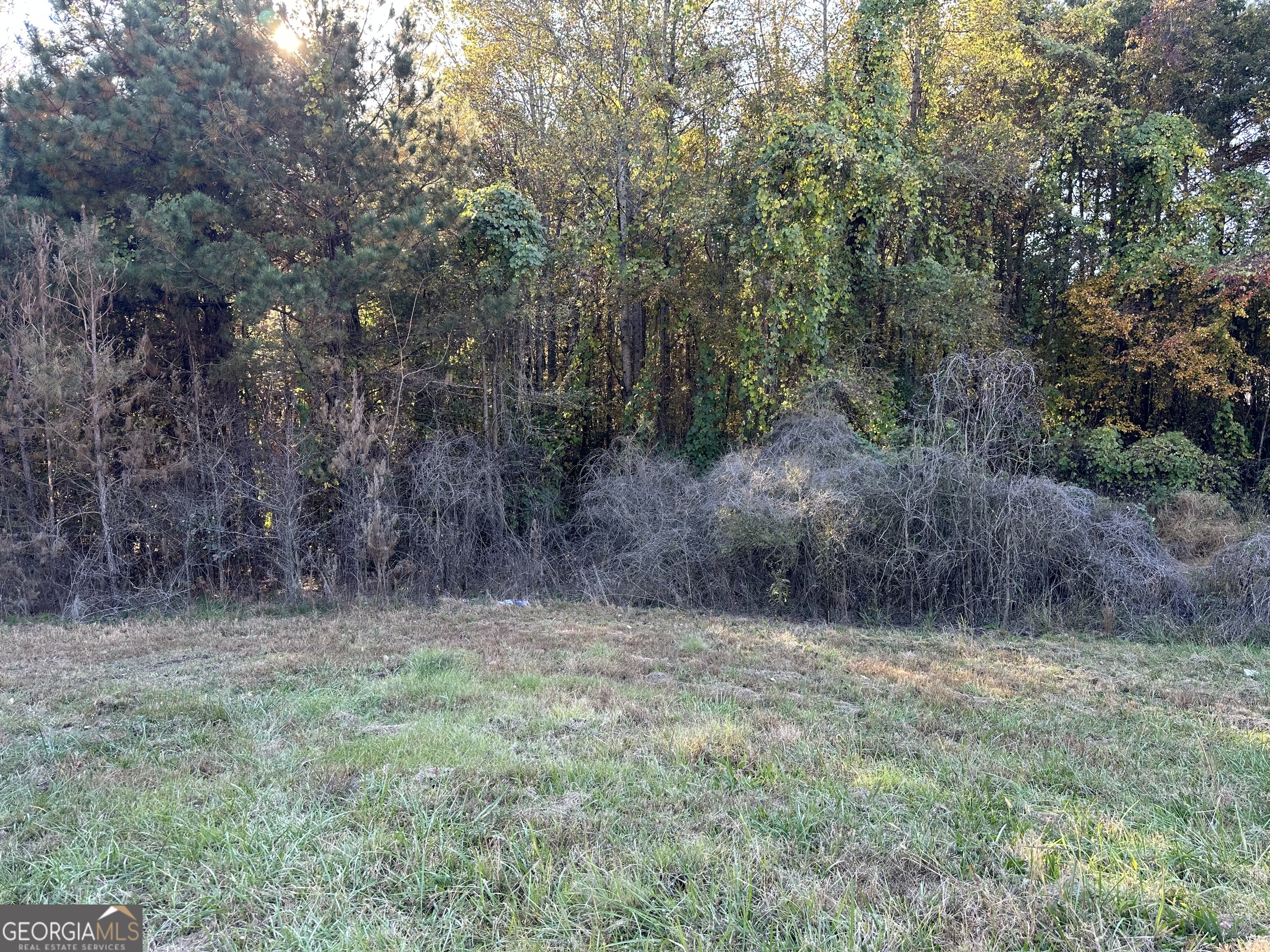 0 Hwy 27 N Property Photo 15
