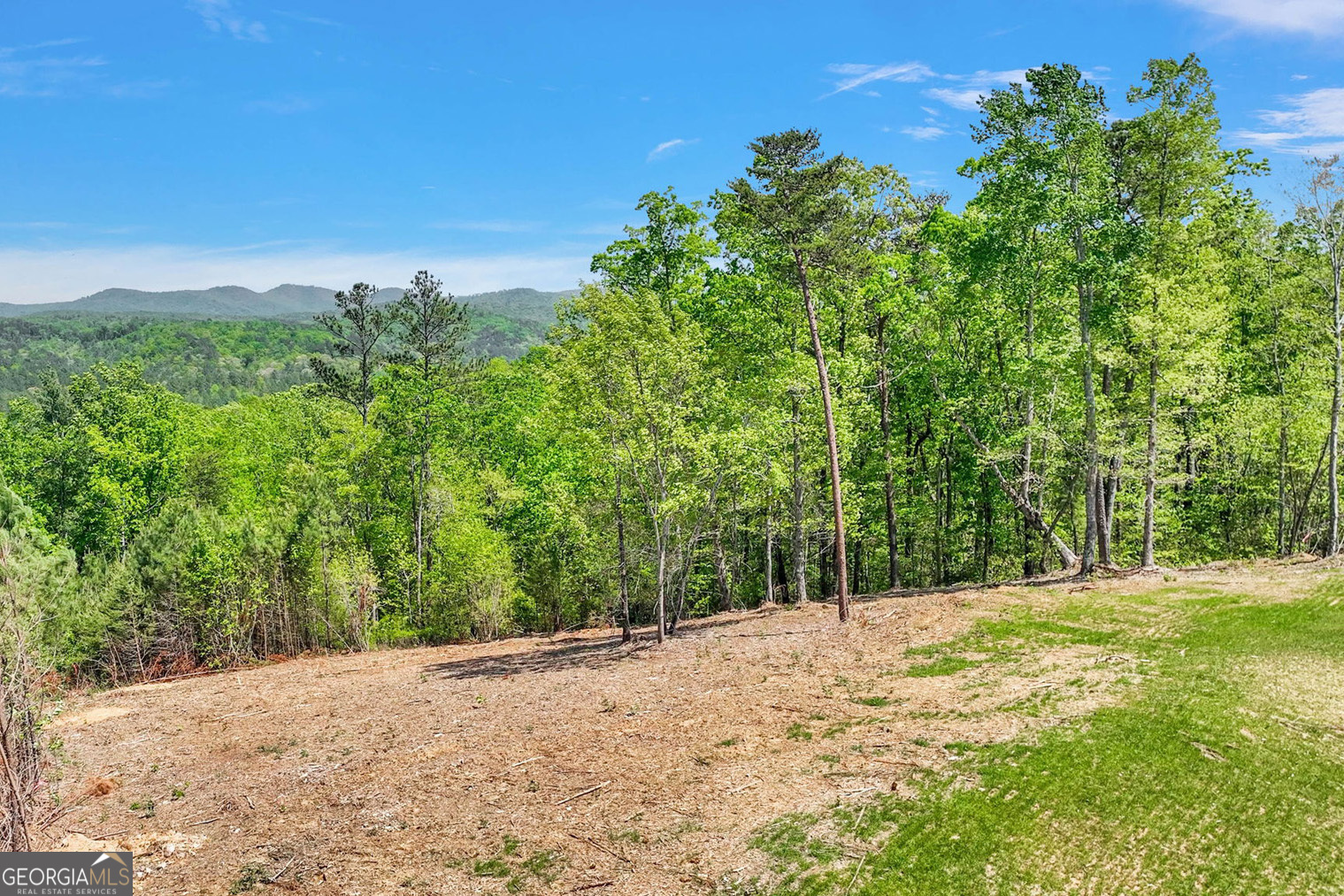 655 Lookout Valley Trail Property Photo 1