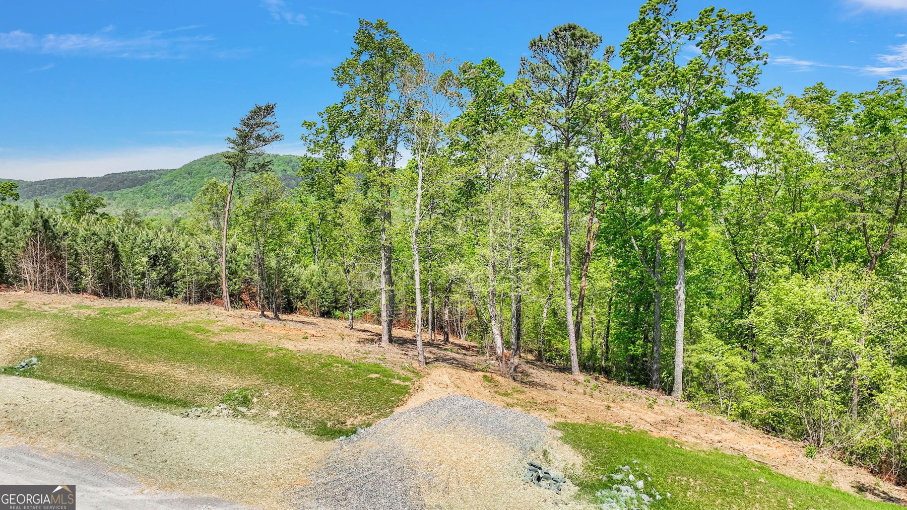 655 Lookout Valley Trail Property Photo 2