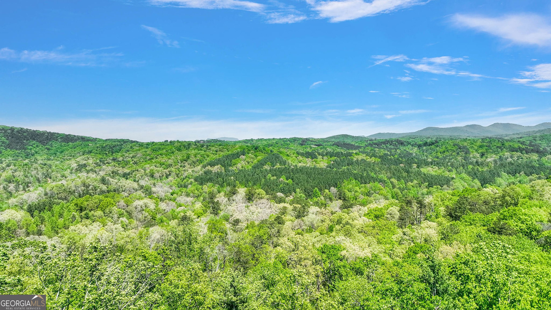655 Lookout Valley Trail Property Photo 3