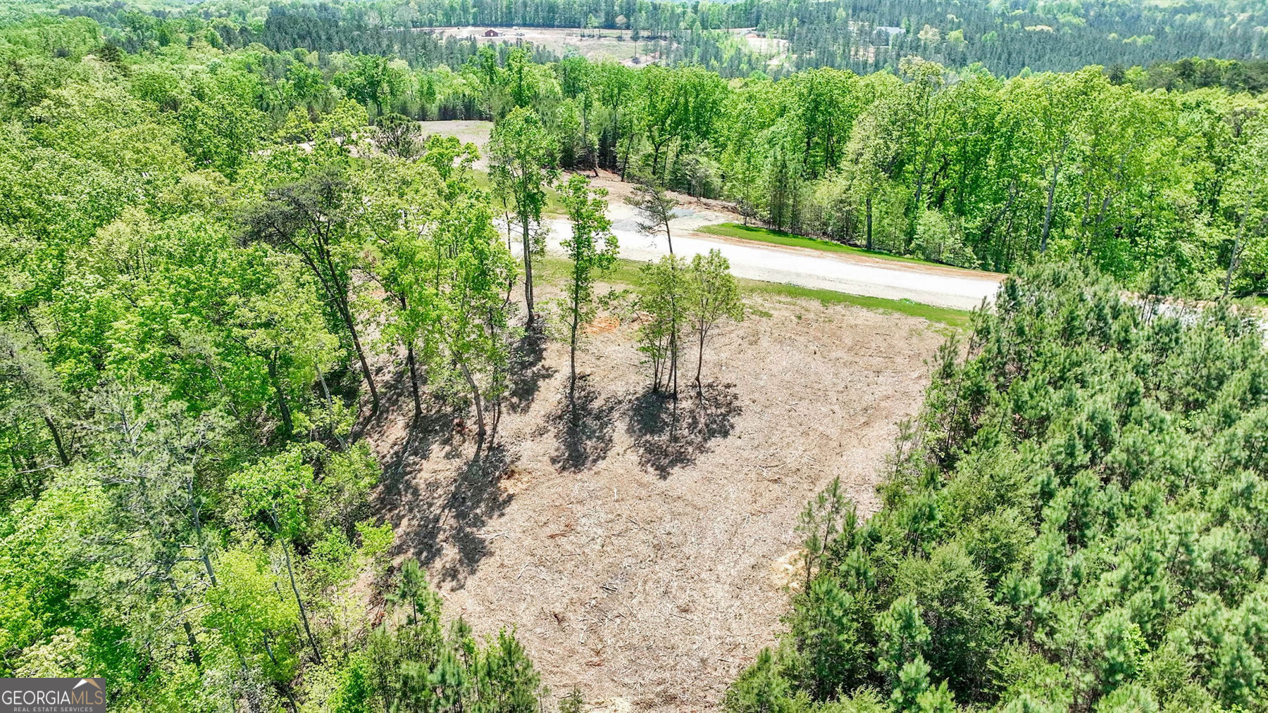 655 Lookout Valley Trail Property Photo 4