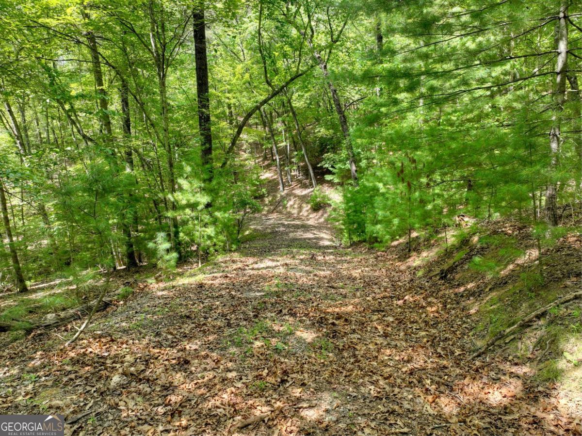 LOT 68 Riverwalk On The Toc # 68 Property Photo 1