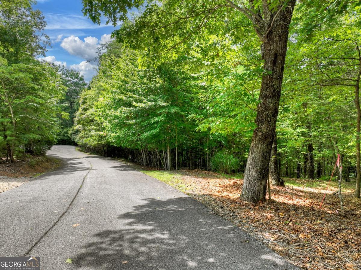 Lot 68 Riverwalk On The Toc # 68 Property Photo 2
