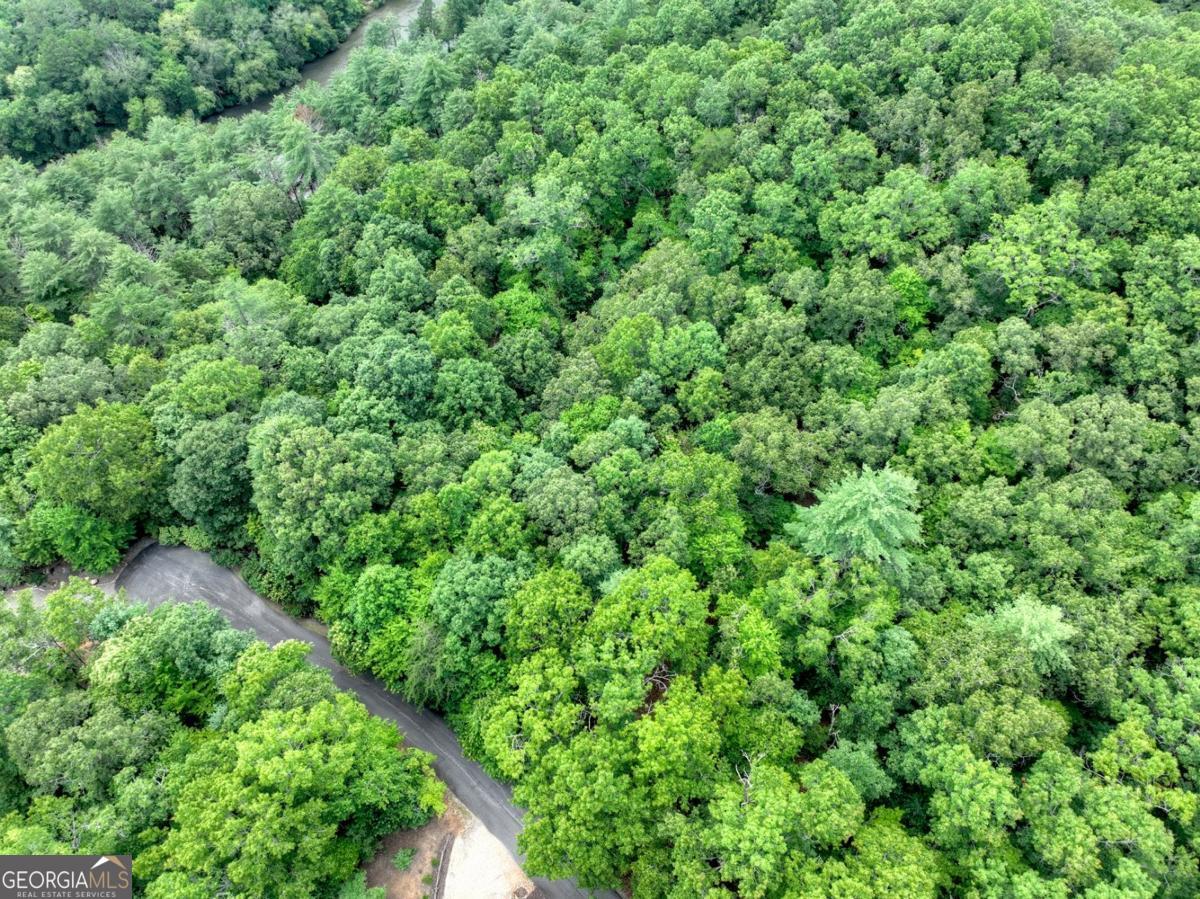 Lot 68 Riverwalk On The Toc # 68 Property Photo 3