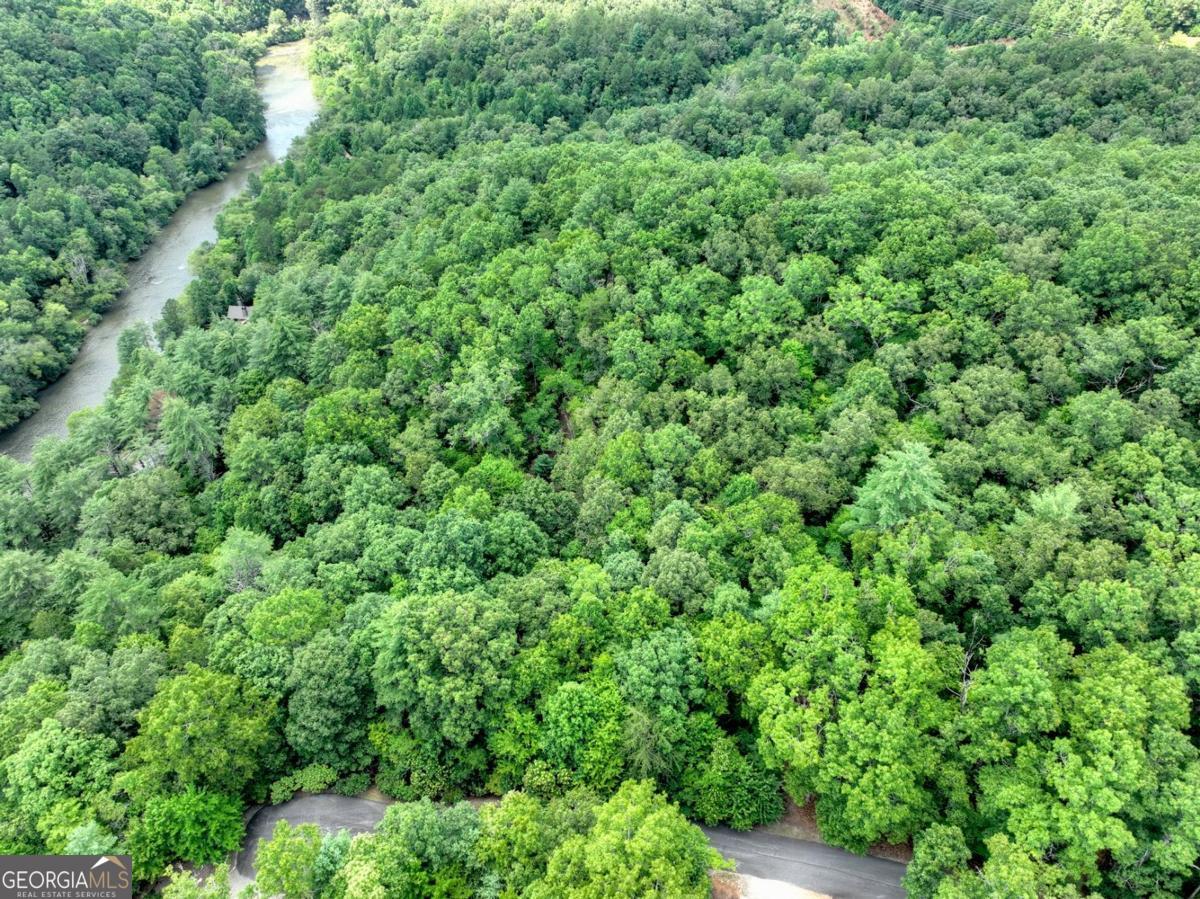Lot 68 Riverwalk On The Toc # 68 Property Photo 4
