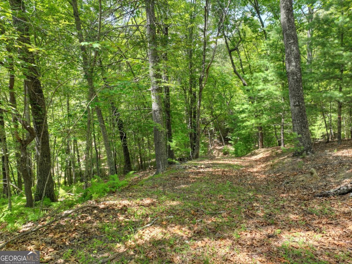 Lot 68 Riverwalk On The Toc # 68 Property Photo 15