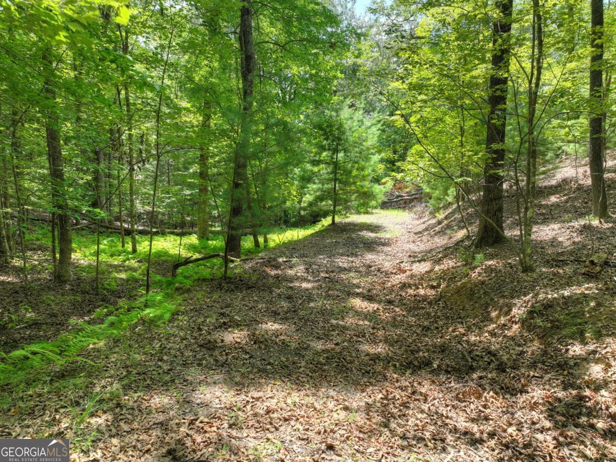 Lot 68 Riverwalk On The Toc # 68 Property Photo 16