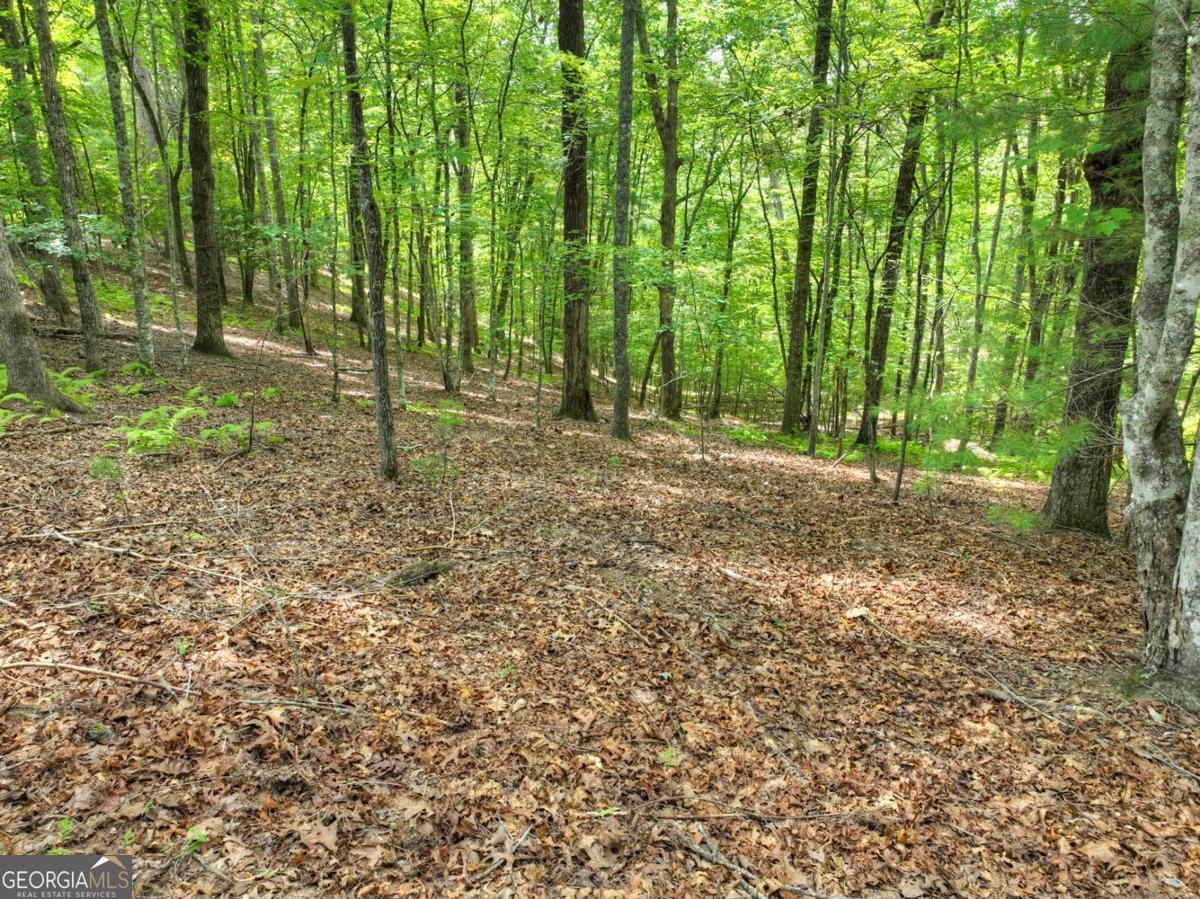 Lot 68 Riverwalk On The Toc # 68 Property Photo 18