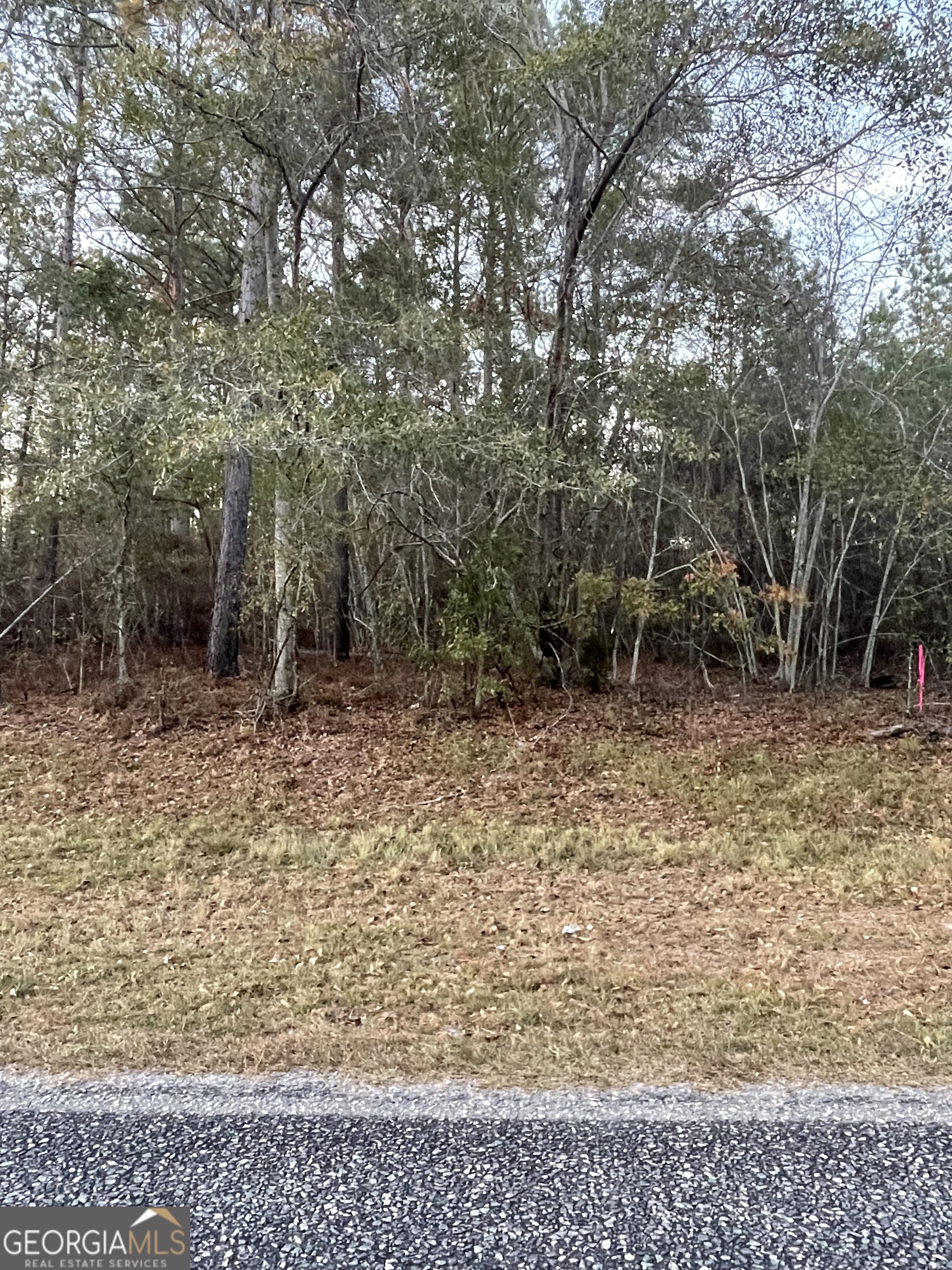 0 Canoochee Bypass Road Property Photo 1