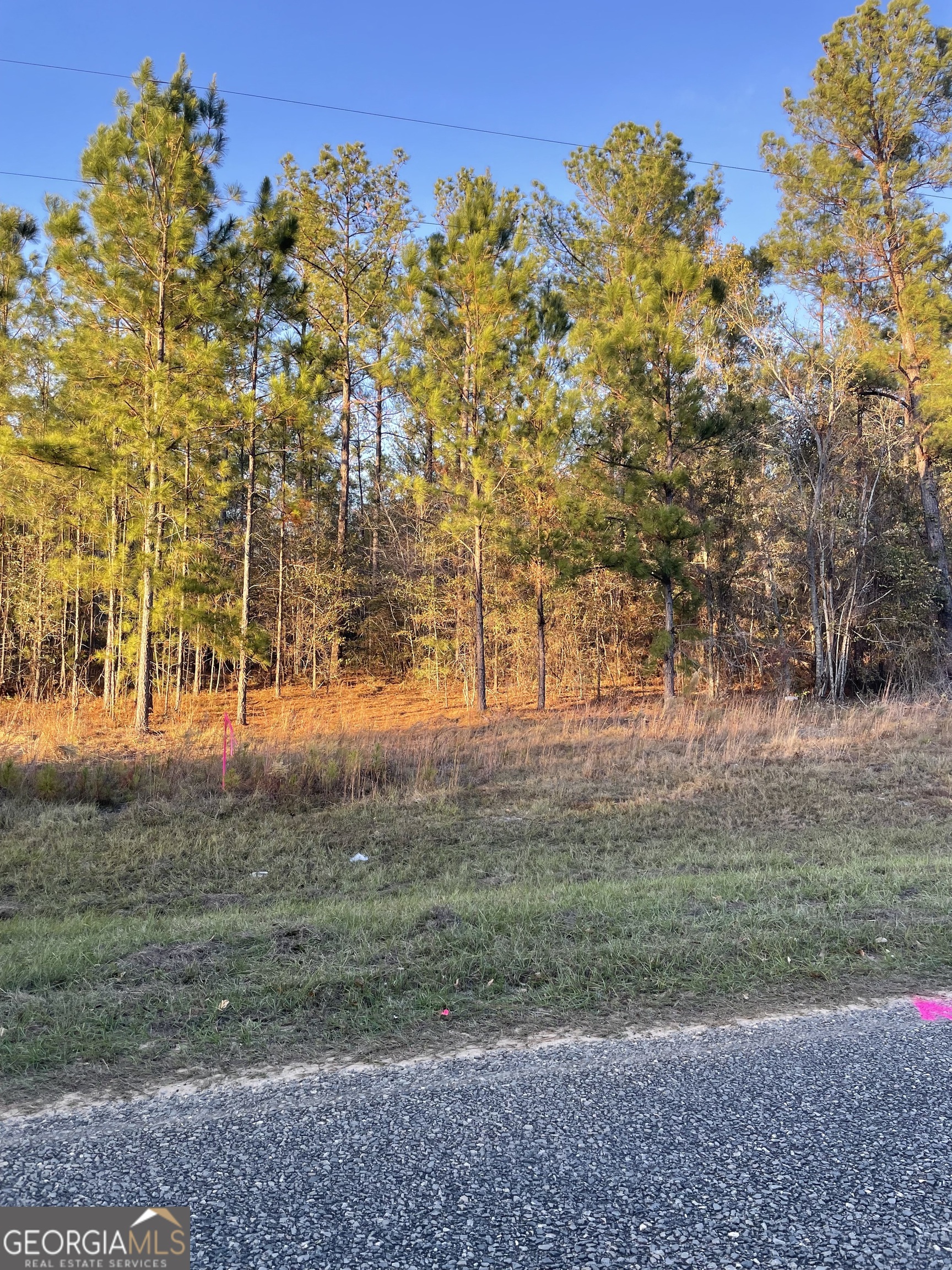 0 Canoochee Bypass Road Property Photo 3