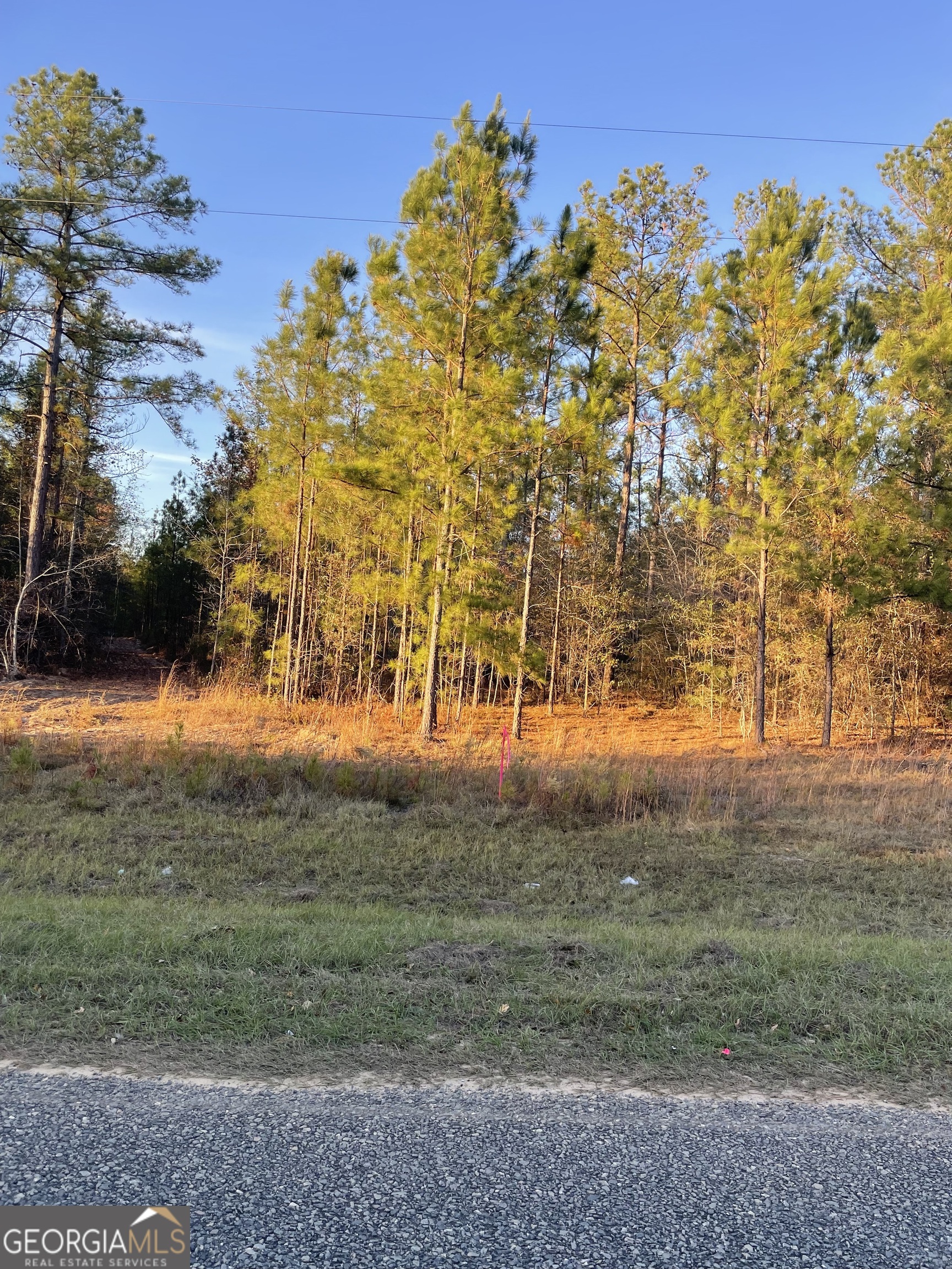 0 Canoochee Bypass Road Property Photo 4