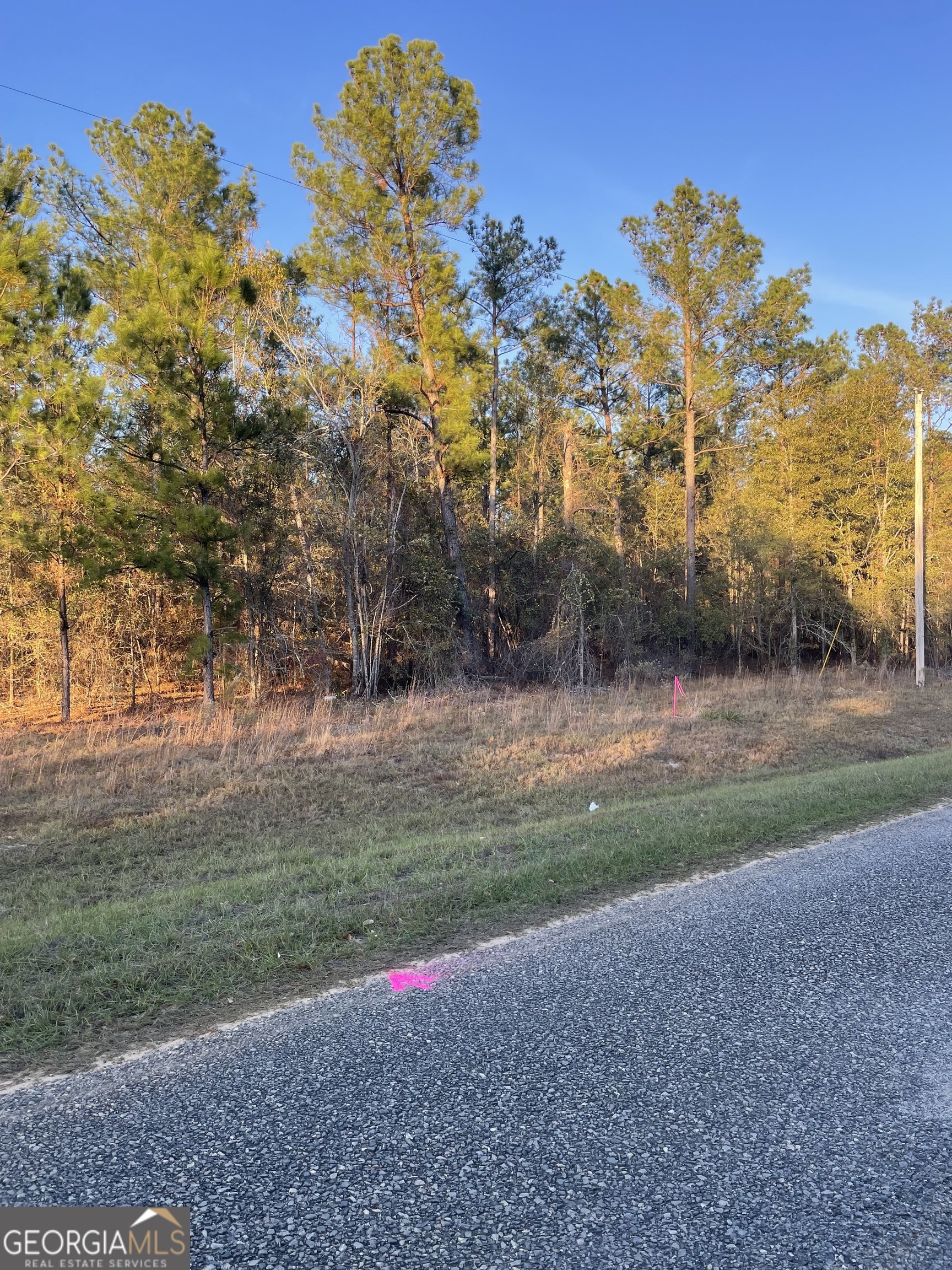 0 Canoochee Bypass Road Property Photo 5