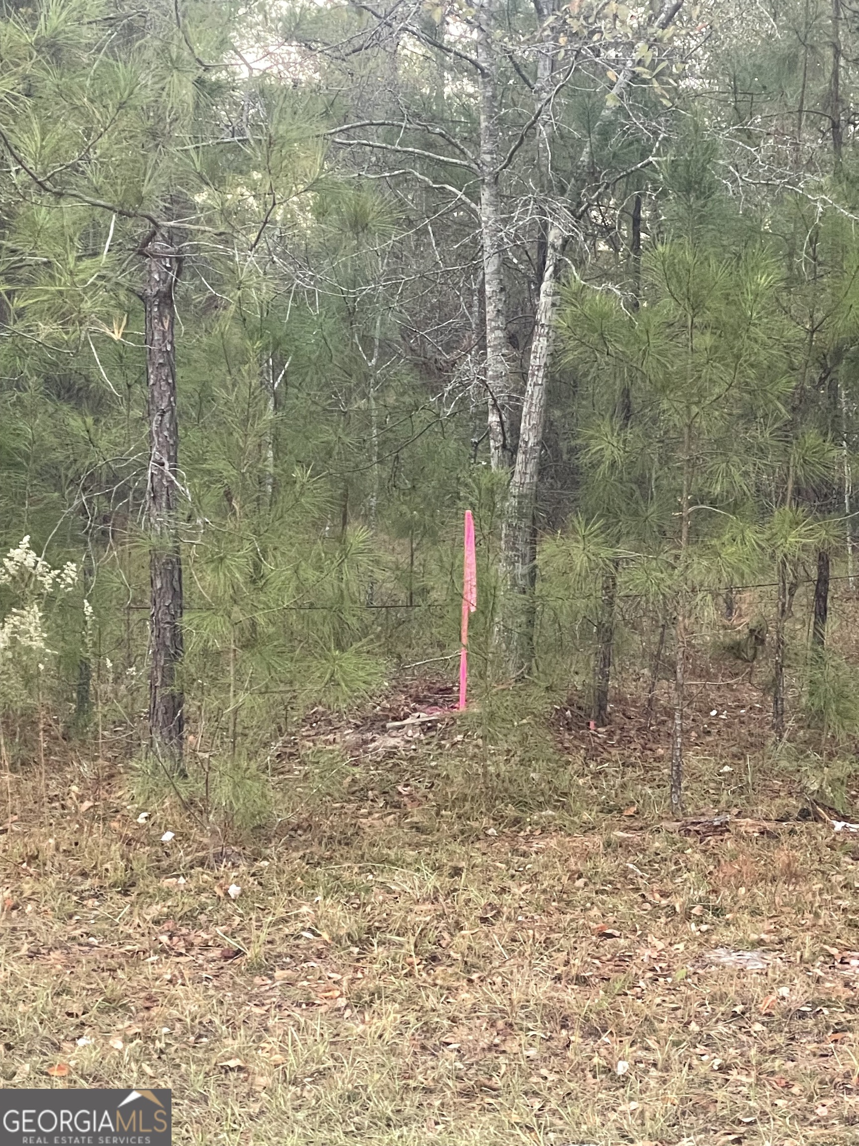 0 Canoochee Bypass Road Property Photo 6