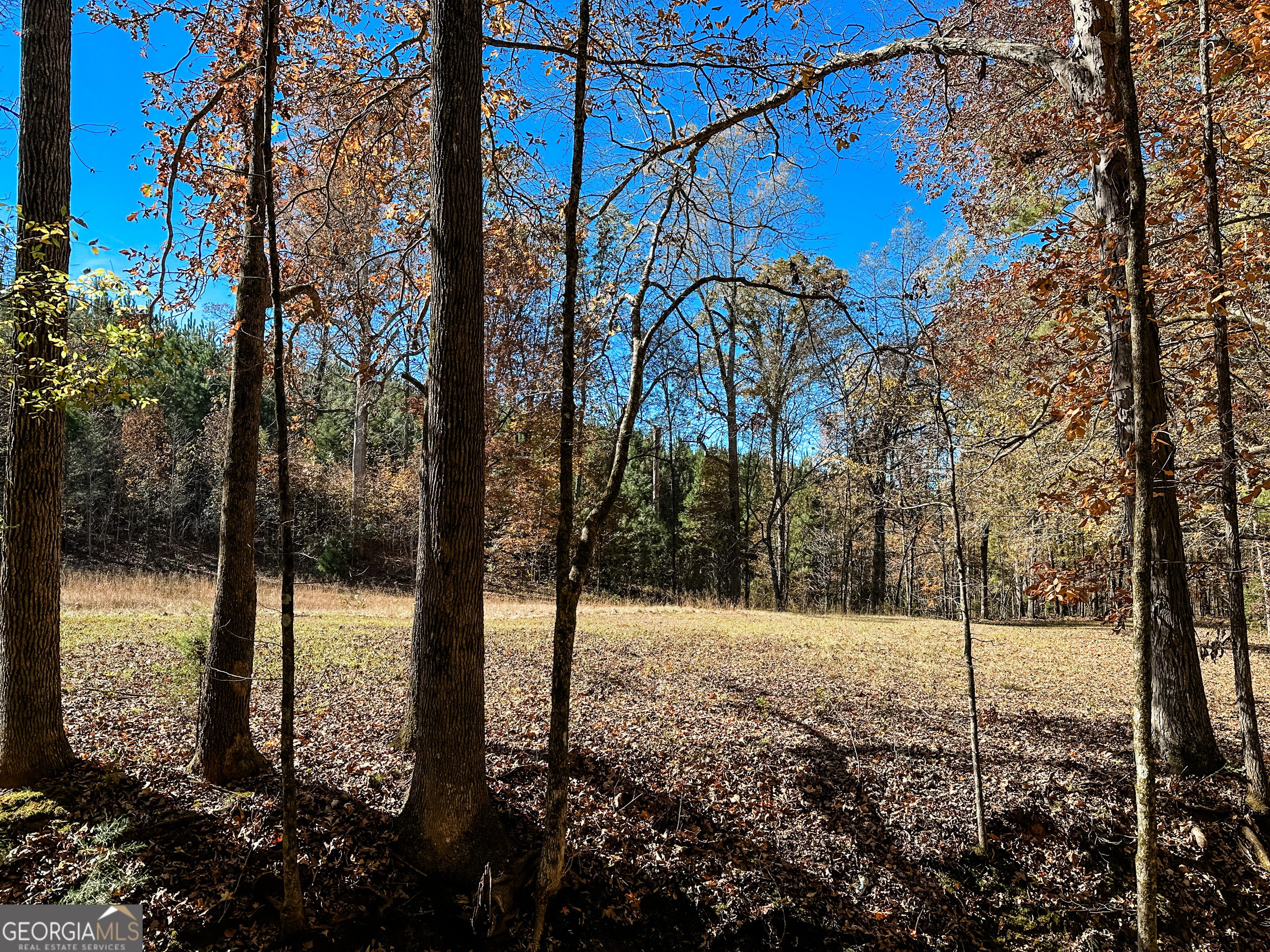 0 Highway 16 E Property Photo 1