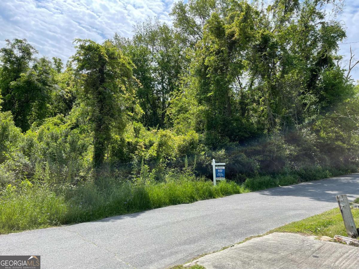 209 Lively Street Property Photo 7