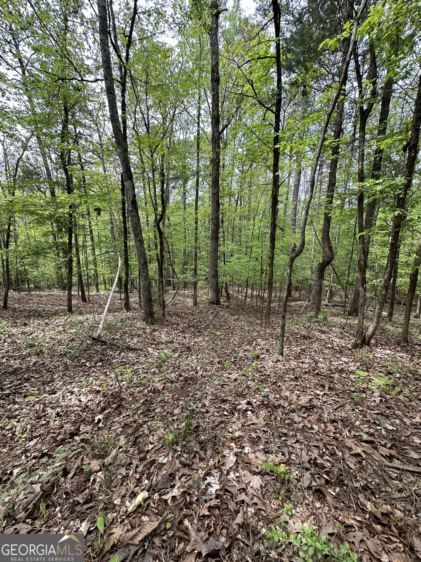 2762 Smith Road Property Photo 4