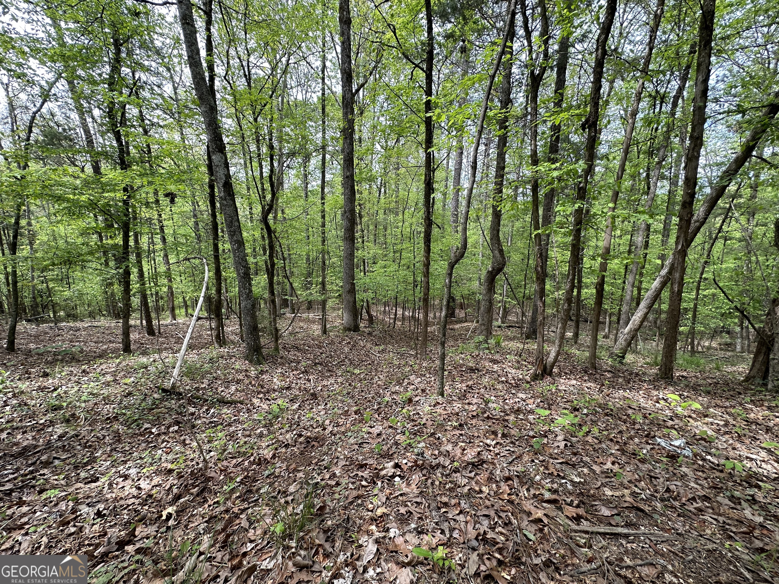 2762 Smith Road Property Photo 5
