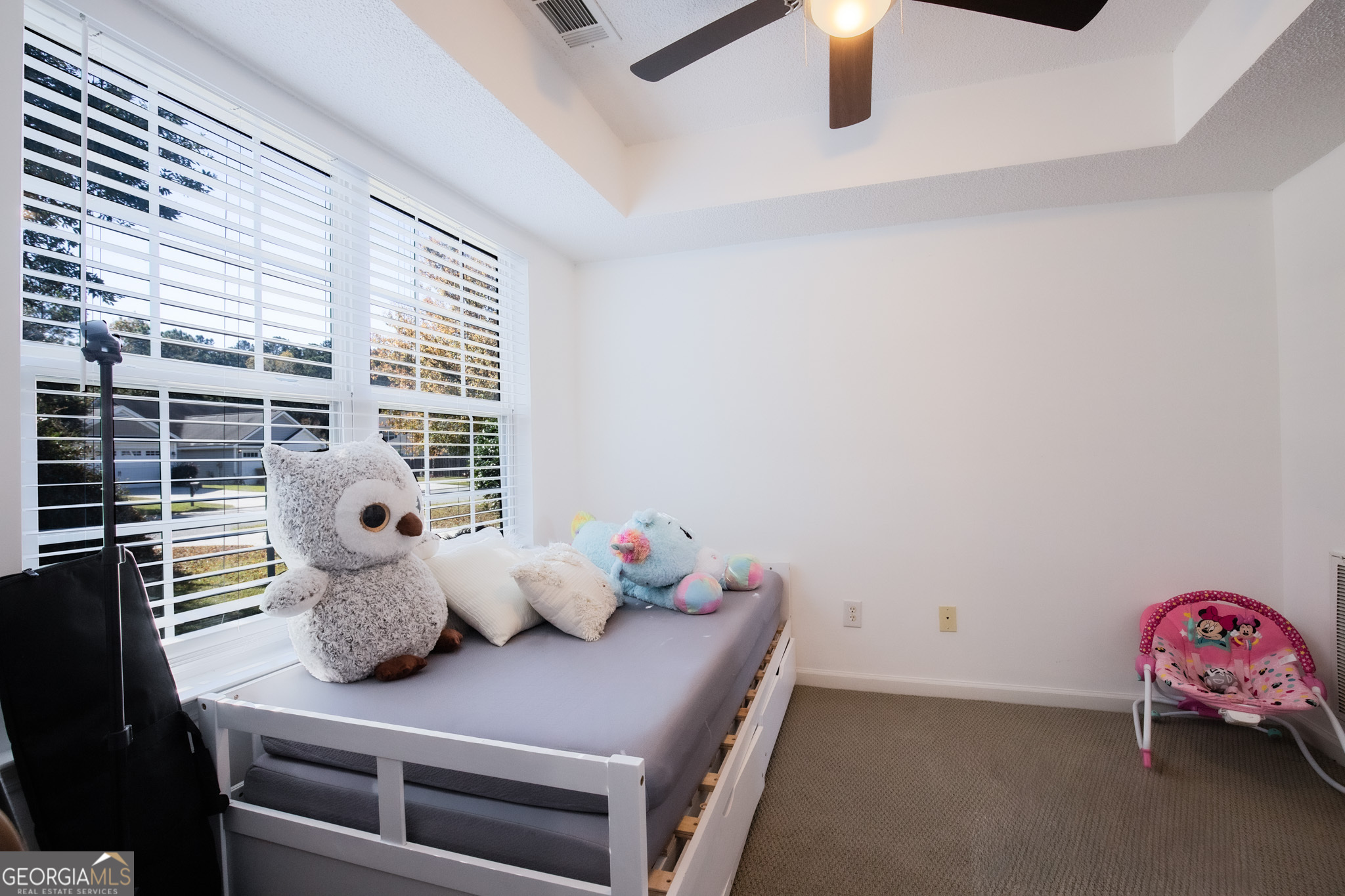 29 Springwater Drive Property Photo 29
