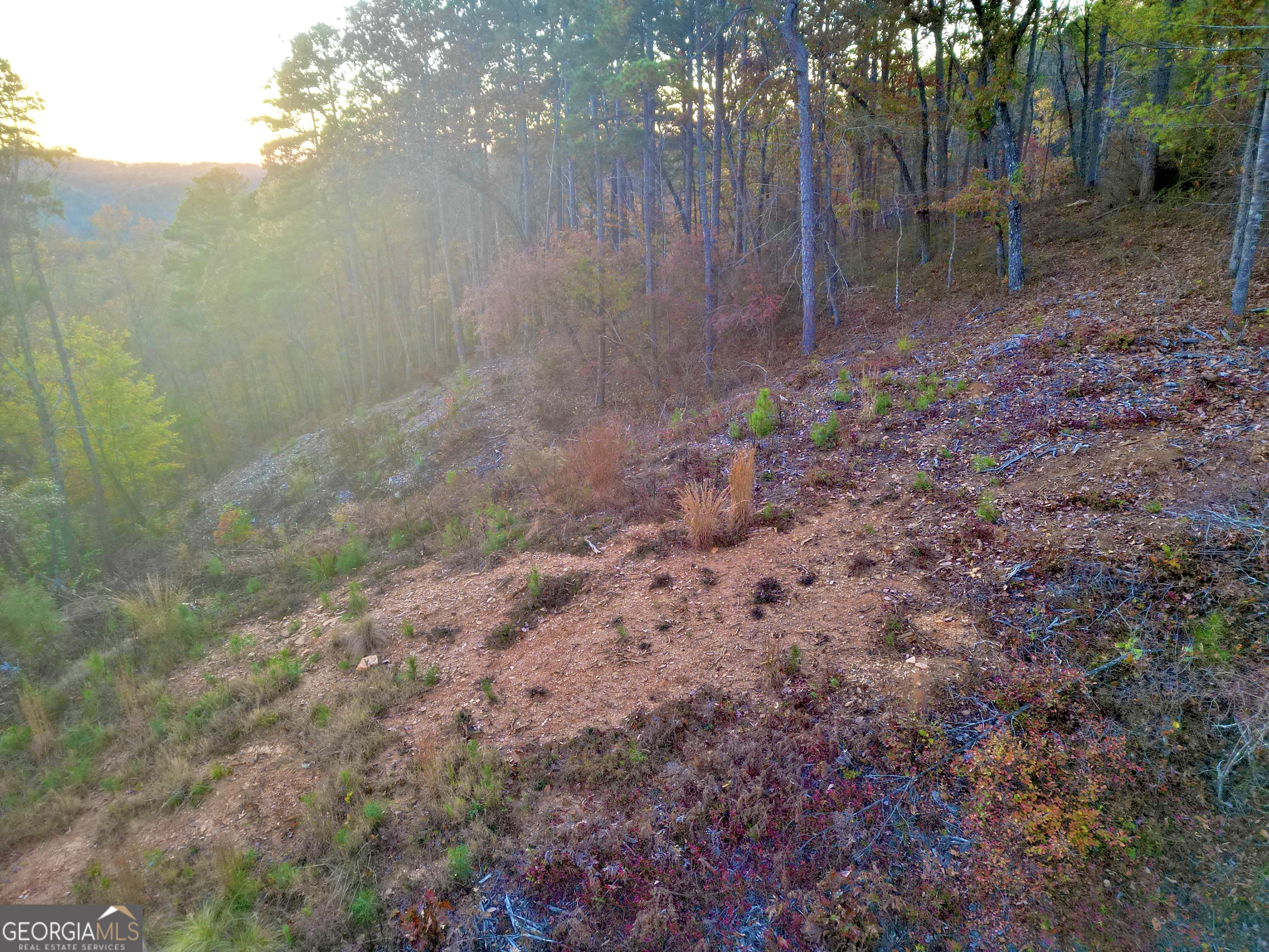 0 Canoe Way Lot 266 Property Photo 2