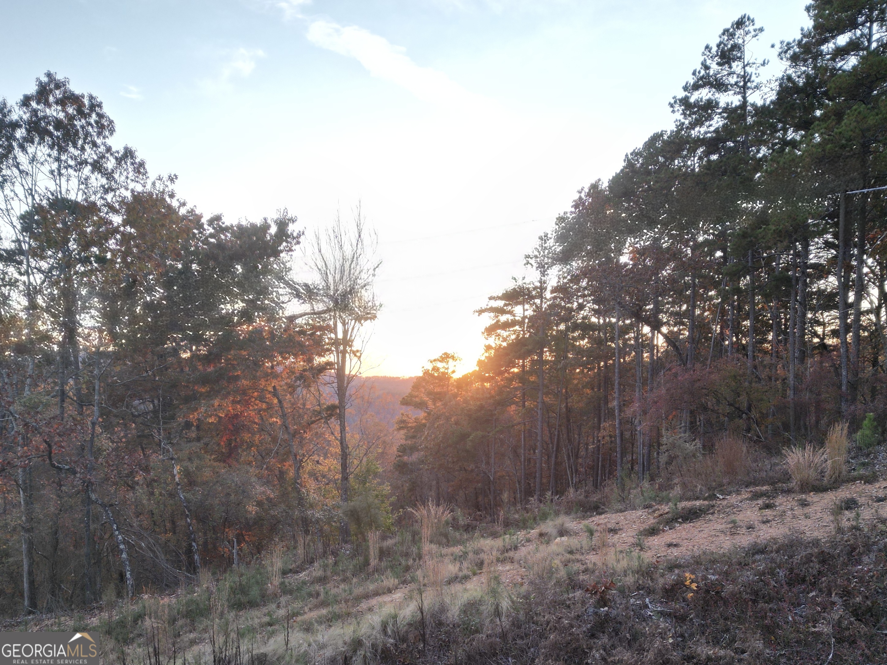 0 Canoe Way Lot 266 Property Photo 3