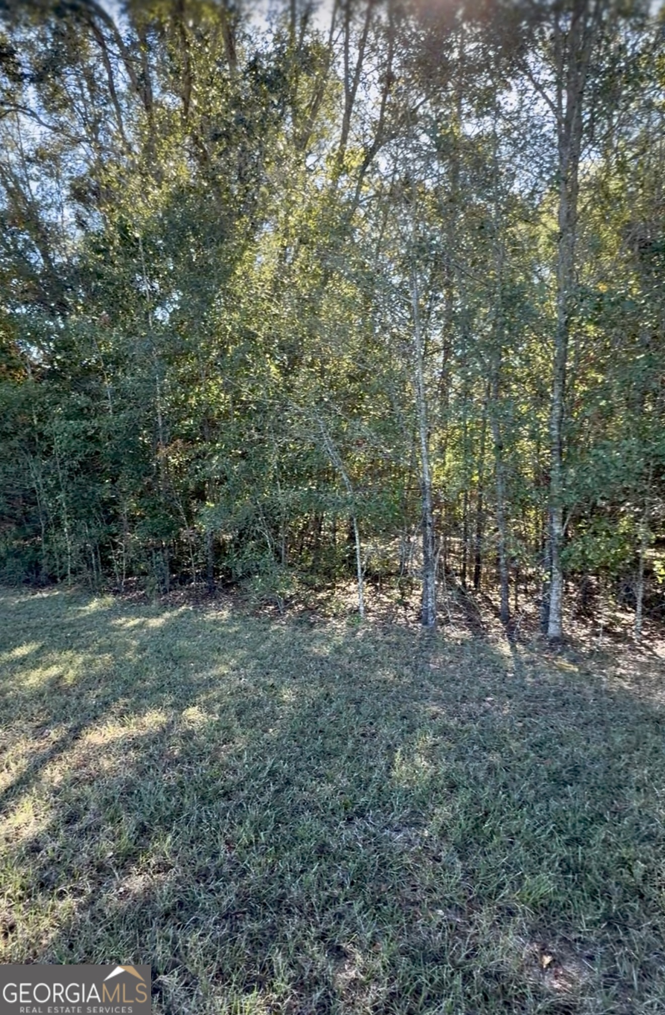 5611 Sweetwater Avenue Property Photo 23