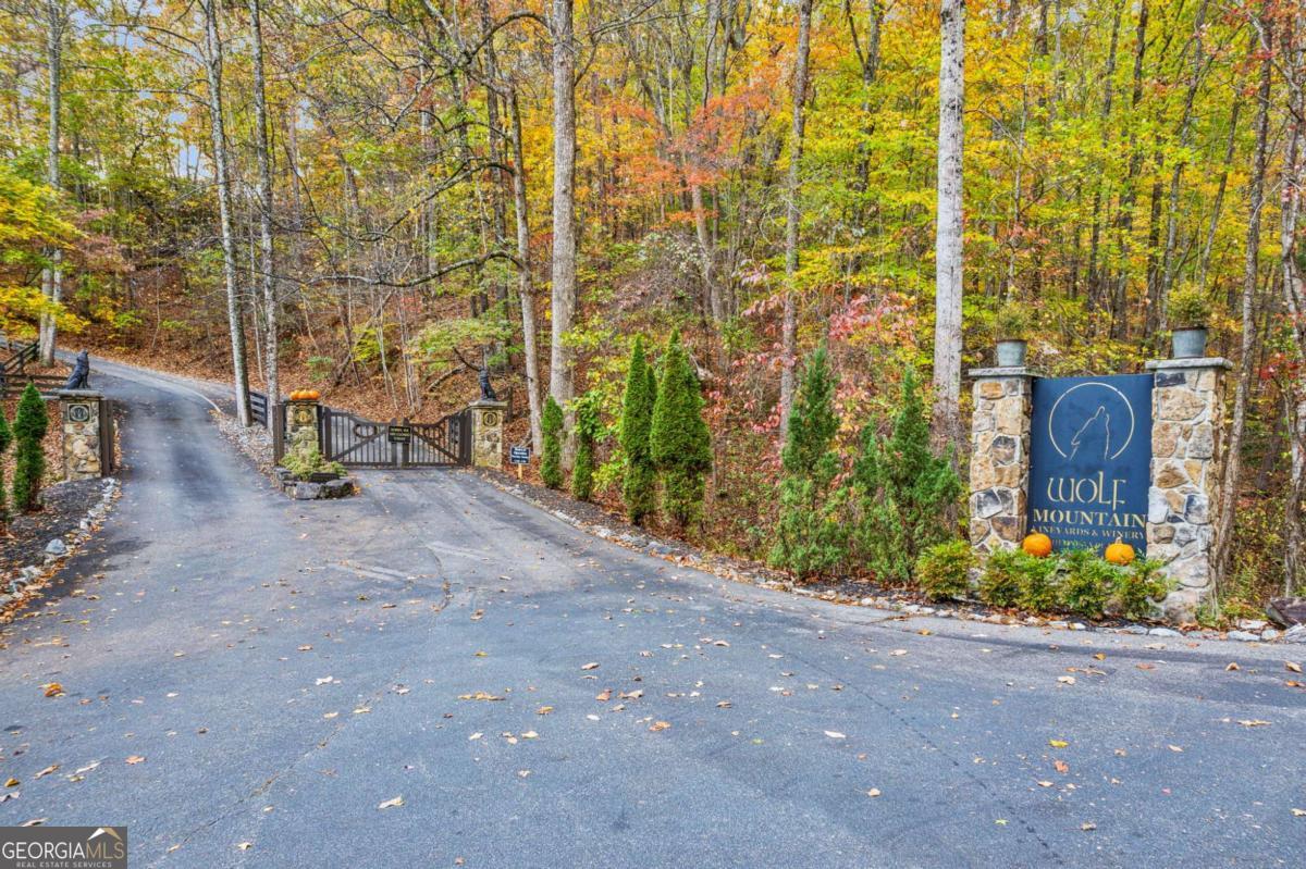 0 Via Senese Property Photo 32