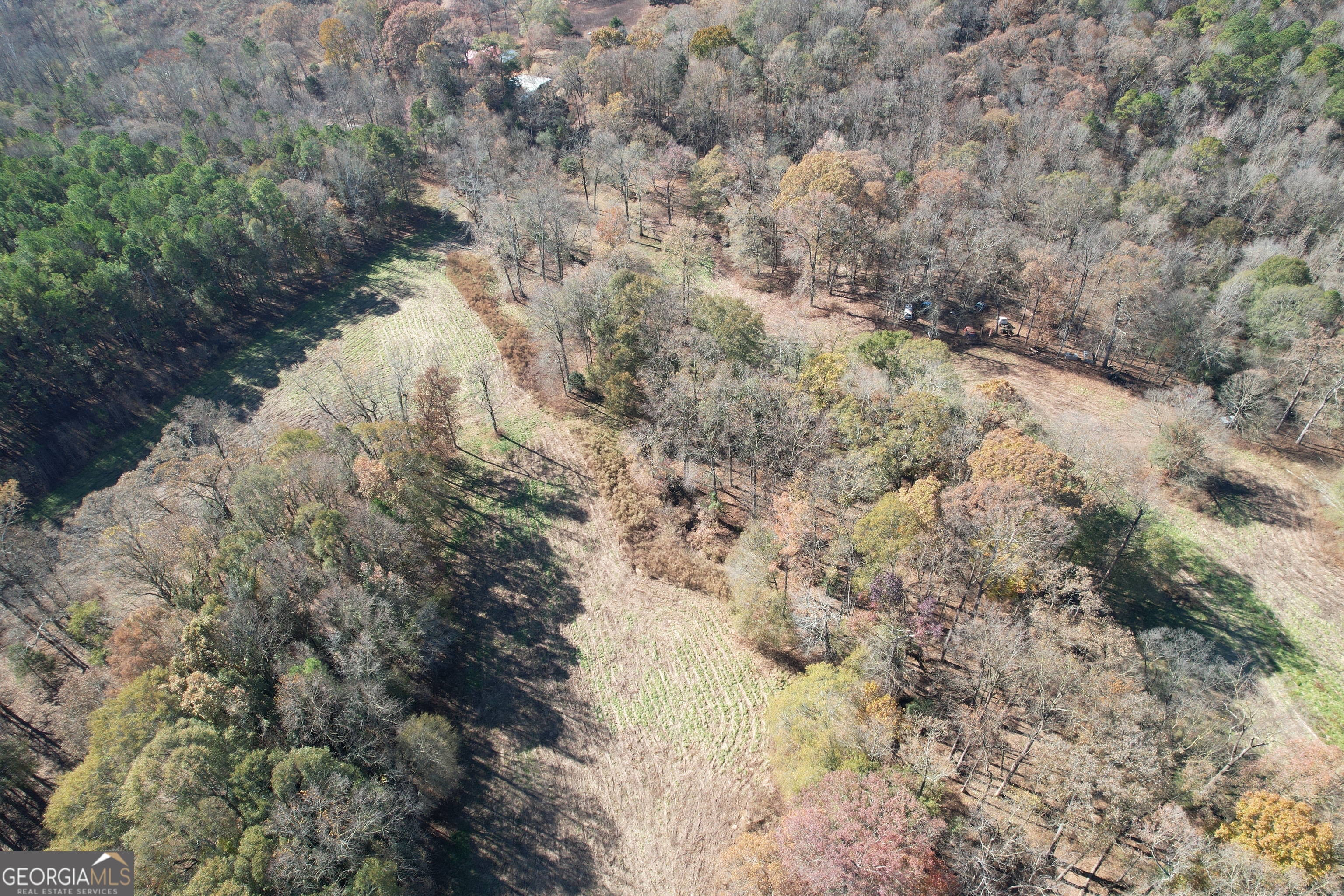 20118 Highway 441 S Property Photo 10