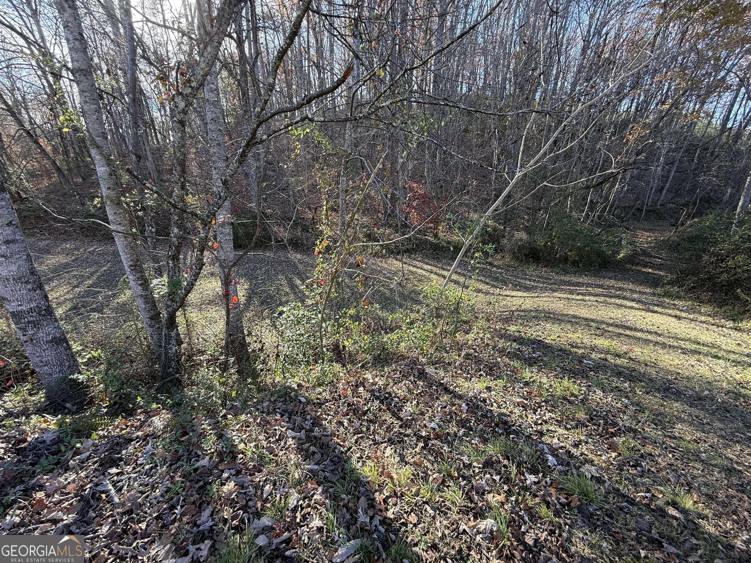 0 Duncan Bridge Road Property Photo 1