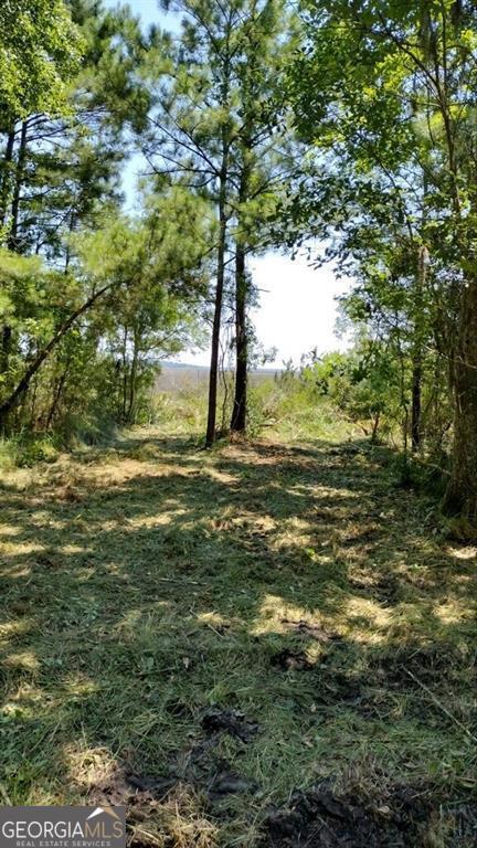 0 Briar Patch Lot 29 Place Property Photo 2