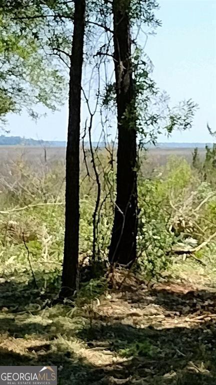 0 Briar Patch Lot 29 Place Property Photo 3