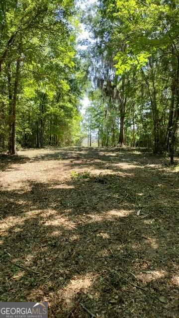0 Briar Patch Lot 29 Place Property Photo 4