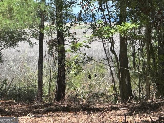 0 Briar Patch Lot 29 Place Property Photo 5