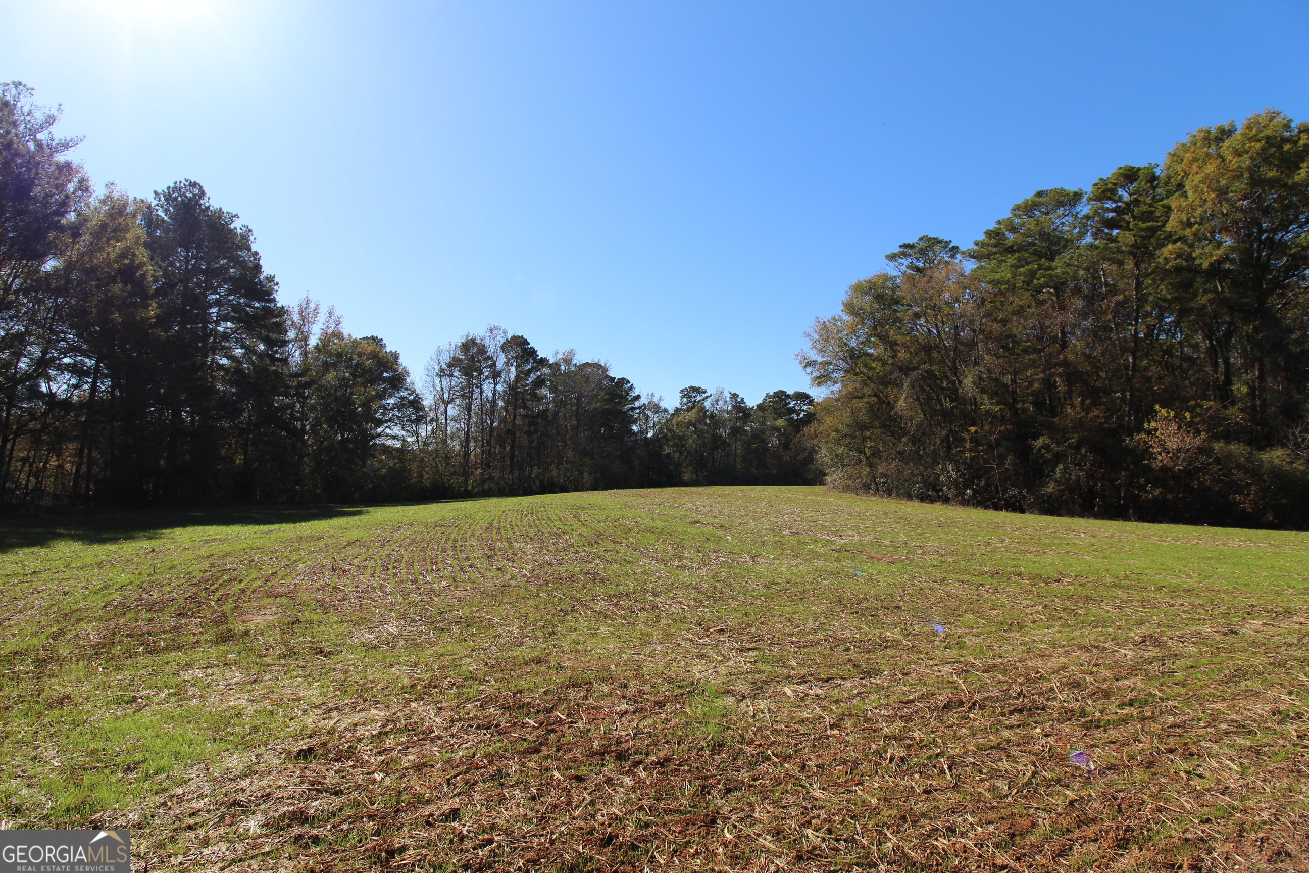 103 Greensboro Road Property Photo 11