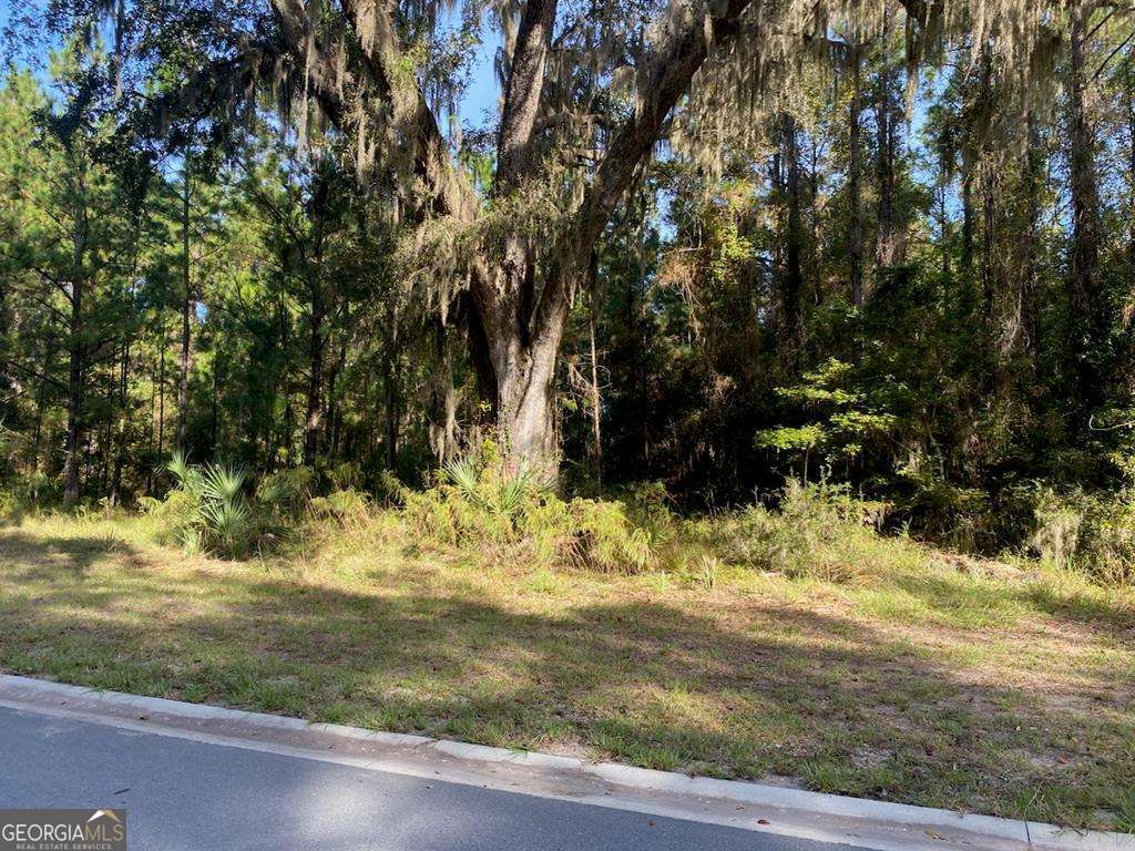 Lot 141 Beacon Pointe Parkway Property Photo 1