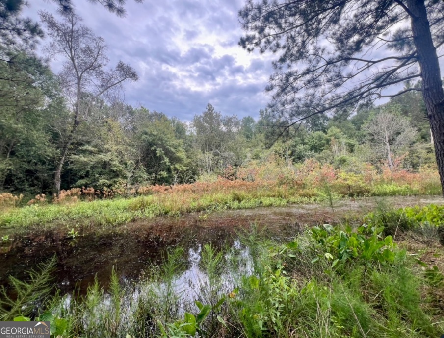 0 Mccarty Dodd Road Property Photo 2